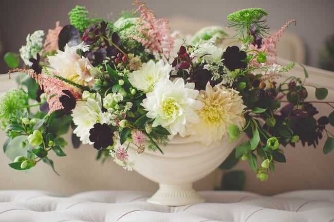 red and white flowers in a white vase